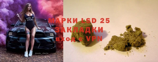 хмурый Лагань