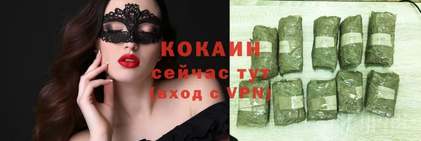 хмурый Лагань