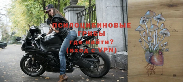 бошки Лабытнанги