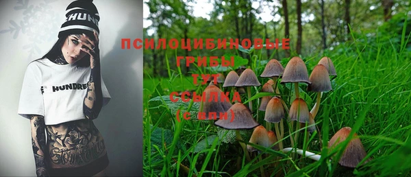 хмурый Лагань