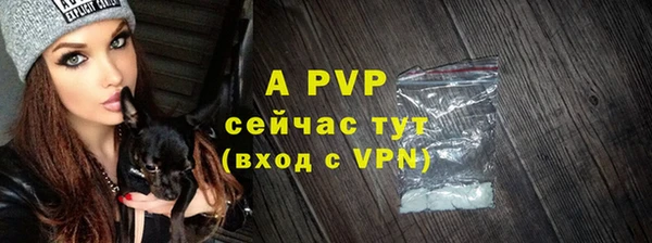 бошки Лабытнанги