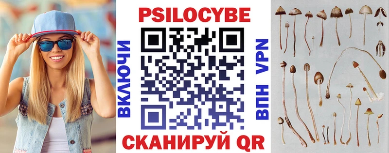 Псилоцибиновые грибы Cubensis  Нижневартовск 
